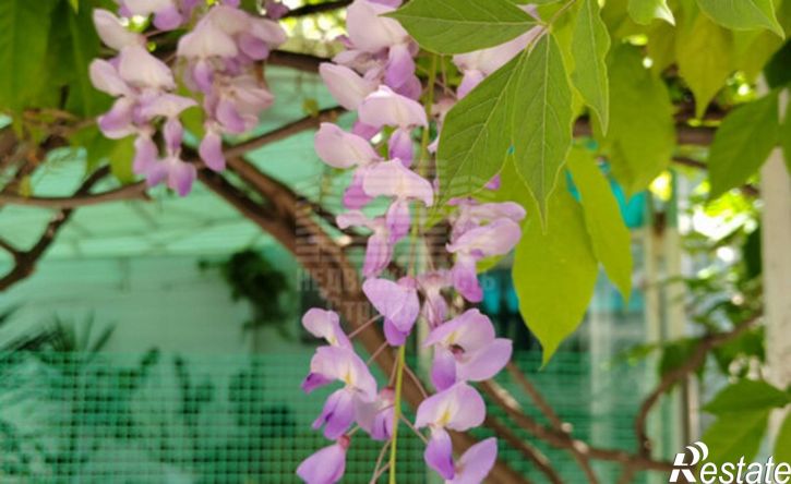 3-комн квартира Таганрог, Добролюбовский переулок, 4