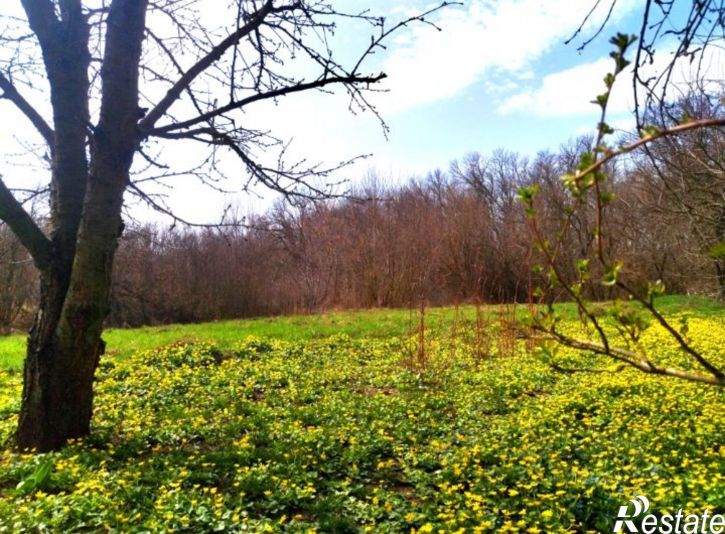 Коттедж/дом на хутор Шубин